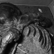 Illustration for article titled 2500 Year-Old Tattooed Siberian Mummy Had Breast Cancer, Used Marijuana